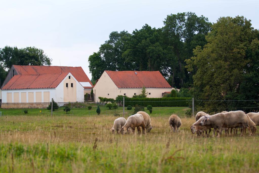 Hotel Resort Stein Cheb Kültér fotó